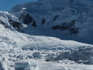 Back at Rothera and out on a boat trip, still enjoying taking pictures of seals in majestic locations.