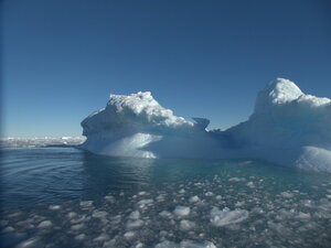 Also, being around the icebergs is mesmerising.