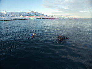 The diving work deserves a lot of respect, below freezing water and very impressive scientific studies.