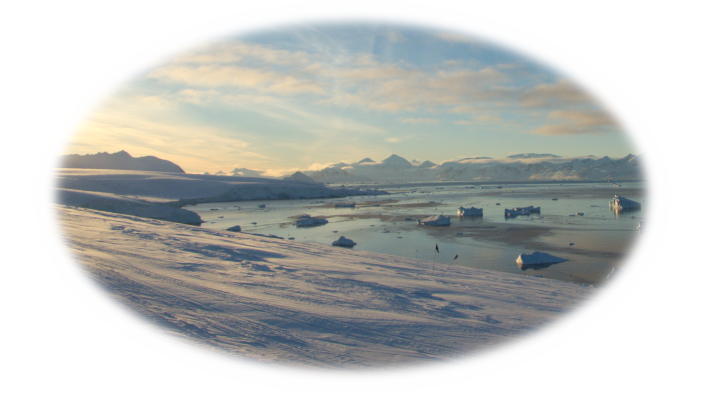 The sea around Rothera Point